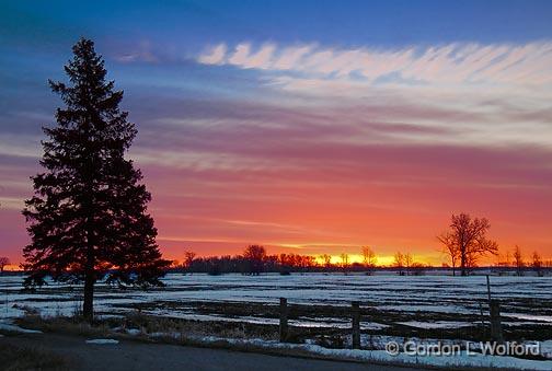 Sunrise Snowscape_14803-4.jpg - Photographed at Ottawa, Ontario - the capital of Canada.